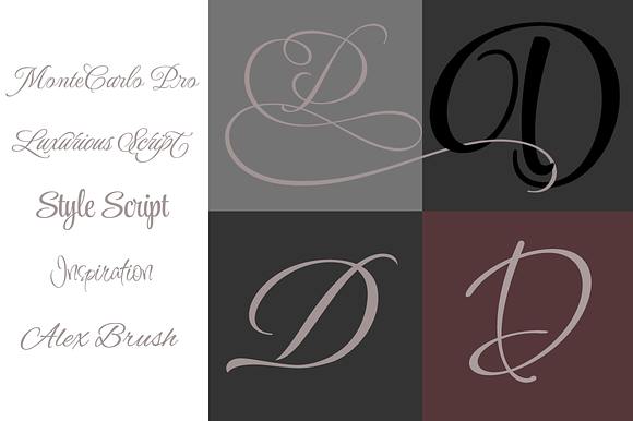 10 Amazing Script Fonts in Display Fonts - product preview 2