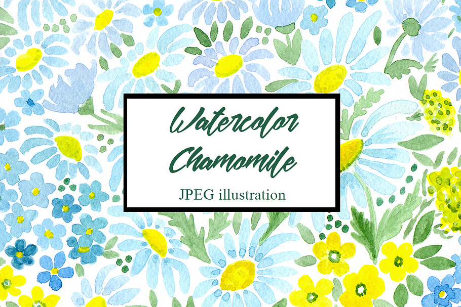 Watercolor chamomile flowers in Illustrations - product preview 8