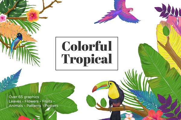 Colorful Tropical Summer Design Set