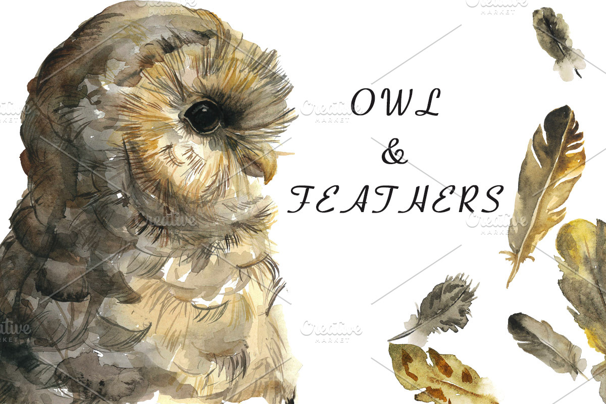 Owl and feathers watercolor set in Illustrations - product preview 8