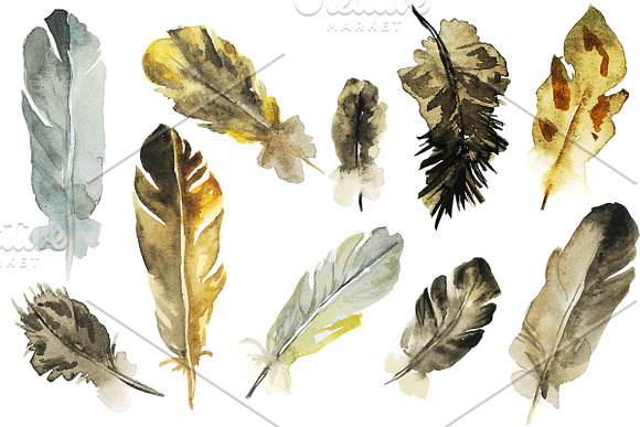 Owl and feathers watercolor set in Illustrations - product preview 1