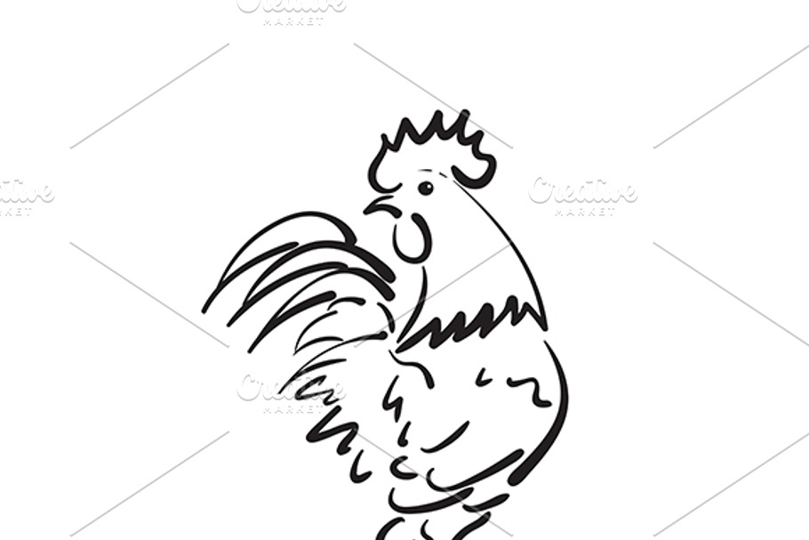 Hand drawn cock on white background. in Graphics - product preview 8