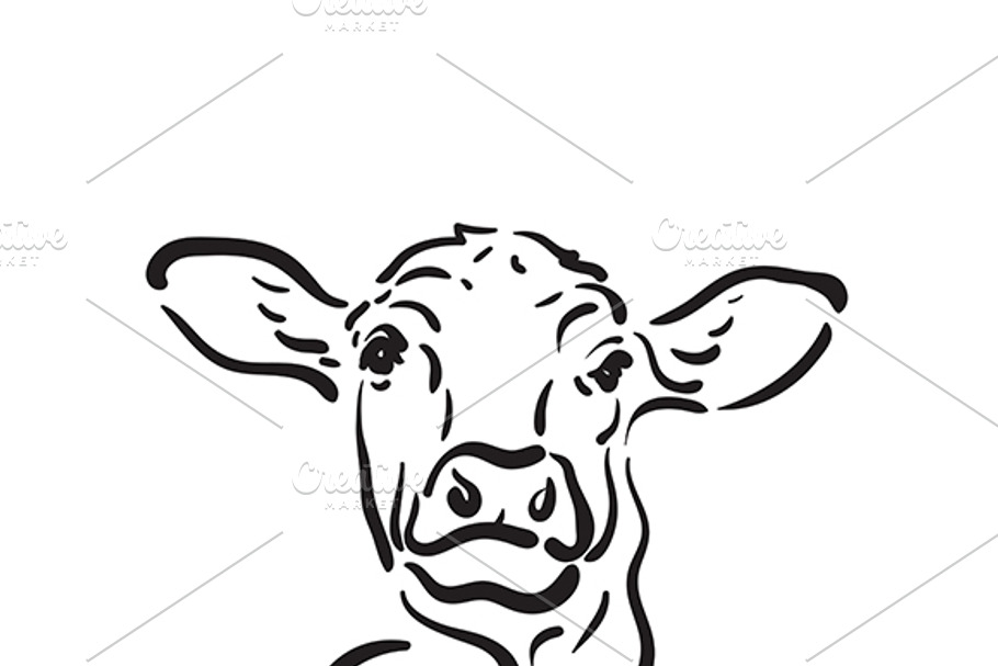 Vector of hand drawn cow. in Icons - product preview 8