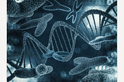 Chromosomes, gene mutation