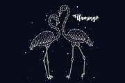 Constellation of flamingos