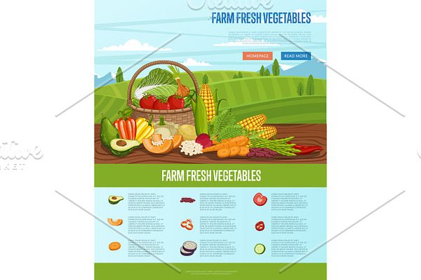 Farm fresh vegetable banner with rural landscape
