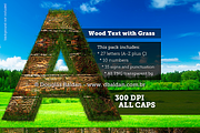 3D Wood Alphabet Text with Grass