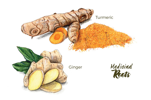Hand Painted Smoothie Ingredients in Illustrations - product preview 3