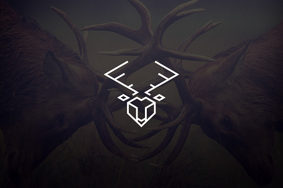 17 Geometric Animal Icons and Logos  in Logo Templates - product preview 1