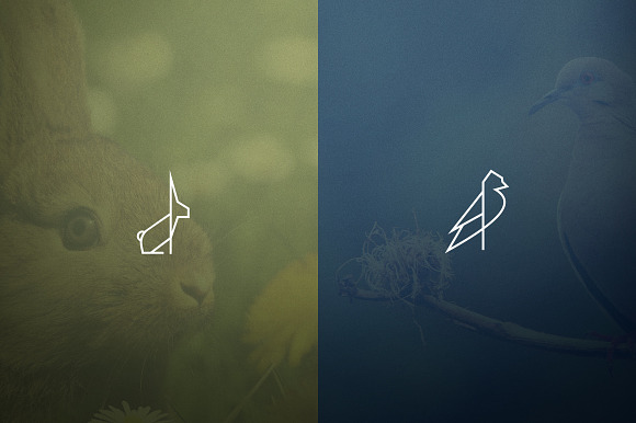 17 Geometric Animal Icons and Logos  in Logo Templates - product preview 6