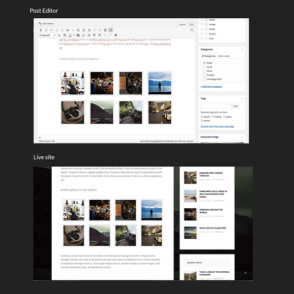 Travlog - A Traveler Blogging Theme in WordPress Blog Themes - product preview 1