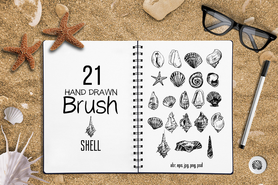 21 Sea Shell Brushes