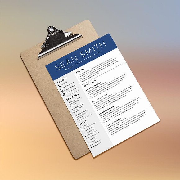 Resume Template & FREE Cover Letter in Letter Templates - product preview 4