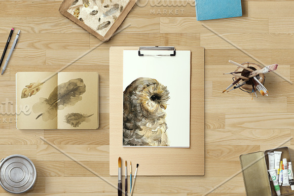 Owl and feathers watercolor set in Illustrations - product preview 3