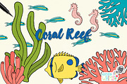 Tropical Fish & Coral Illustrations