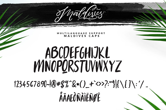 Maldives Script in Script Fonts - product preview 9