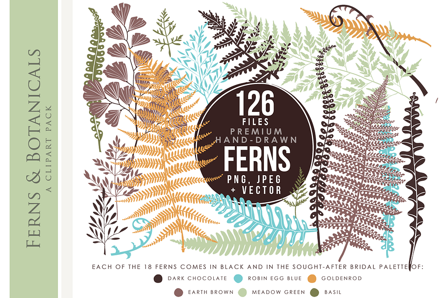 Ferns clip art hand drawn clipart in Illustrations - product preview 8