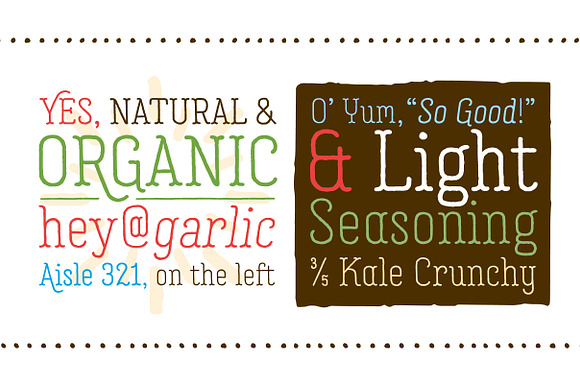 Garlic Salt Font Family in Serif Fonts - product preview 1