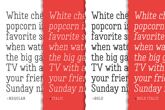Garlic Salt Font Family in Serif Fonts - product preview 6