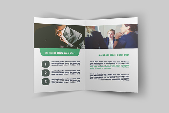 Business Bi Fold Brochure - v009 in Brochure Templates - product preview 4