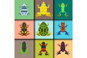 Frog cartoon tropical animal cards cartoon amphibian mascot character wild vector illustration.