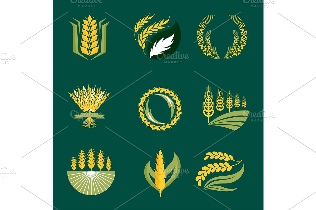 Cereal ears and grains agriculture industry or logo badge design vector food illustration organic natural symbol in Illustrations - product preview 8