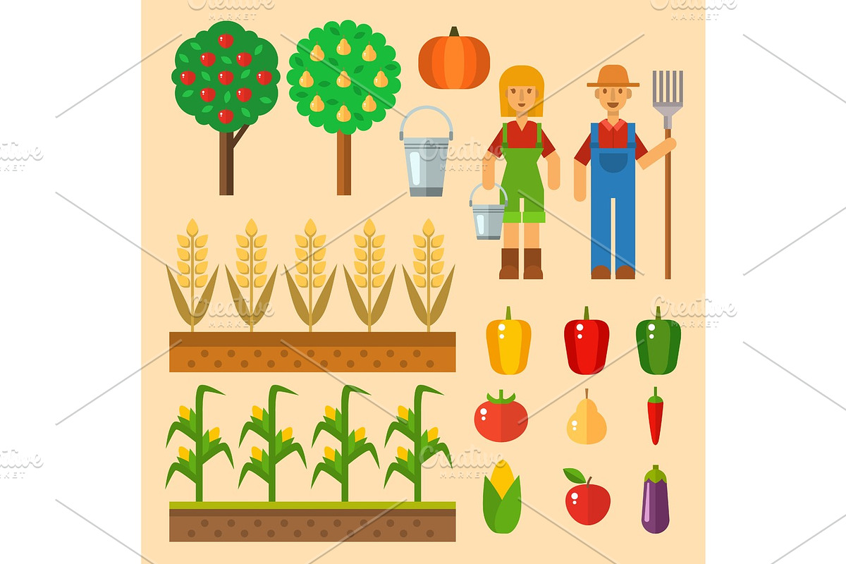 Vector farm harvesting equipment for agriculture and horticulture healthy natural fruits and hand tools in Illustrations - product preview 8