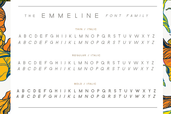 The Elegant Sans Serif Font Bundle in Display Fonts - product preview 4