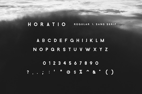 The Elegant Sans Serif Font Bundle in Display Fonts - product preview 6