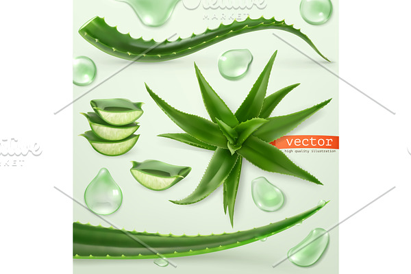 Aloe vera and drop. Vector set