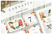 Carnatia - Wedding Suite (Adobe)