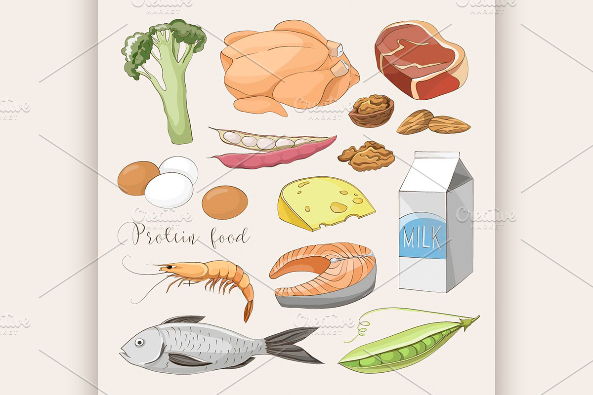 Best protein food icons in Illustrations - product preview 8