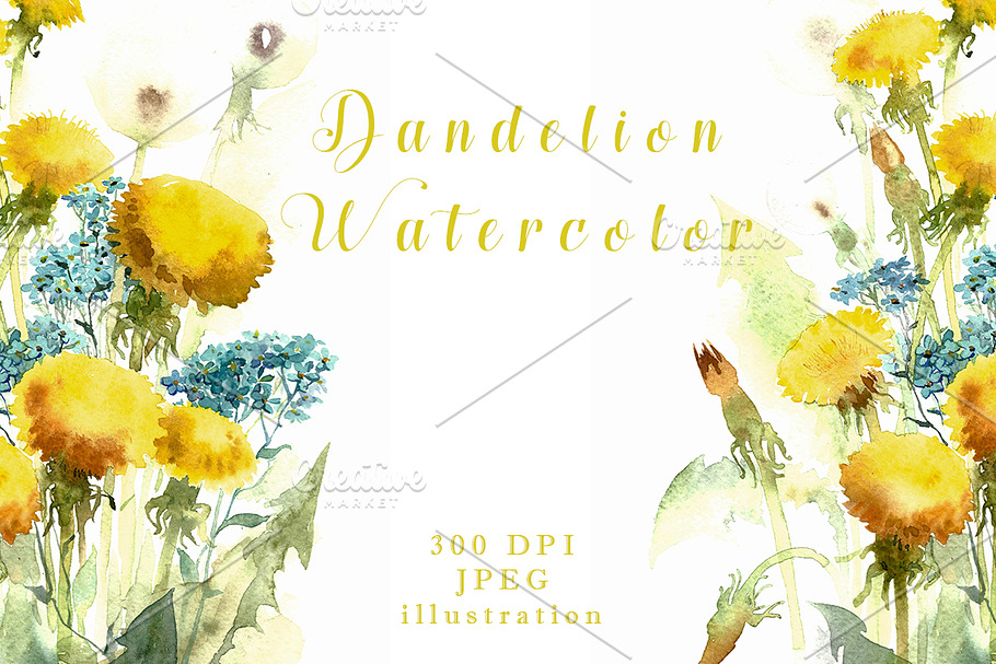 SALE Watercolor flowers of Dandelion in Illustrations - product preview 8