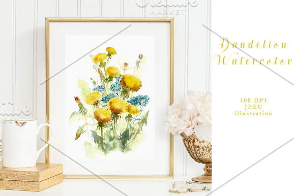 SALE Watercolor flowers of Dandelion in Illustrations - product preview 1