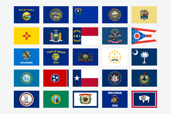 50 State Flags of The USA in Flag Icons - product preview 1