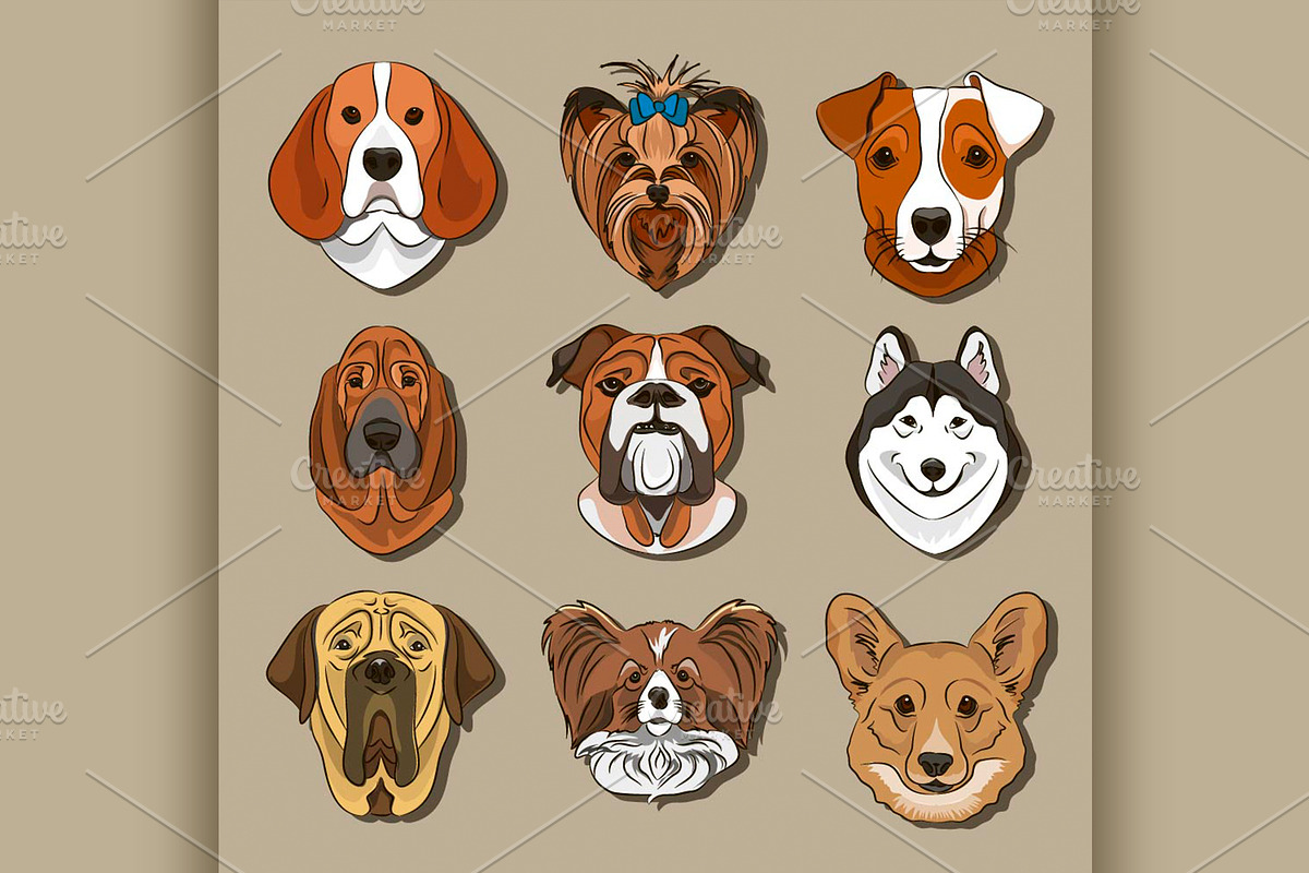different dogs breed in Illustrations - product preview 8