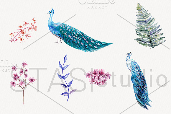 Blue Peacock Watercolor Clipart in Illustrations - product preview 1