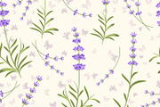 Lavender seamless vector pattern