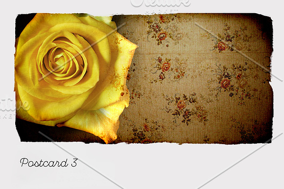 Vintage postcards: series Nature in Postcard Templates - product preview 4