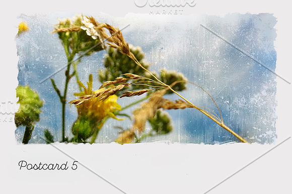 Vintage postcards: series Nature in Postcard Templates - product preview 6