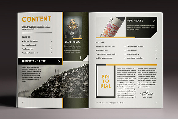 15 InDesign Magazines & Brochures in Magazine Templates - product preview 33