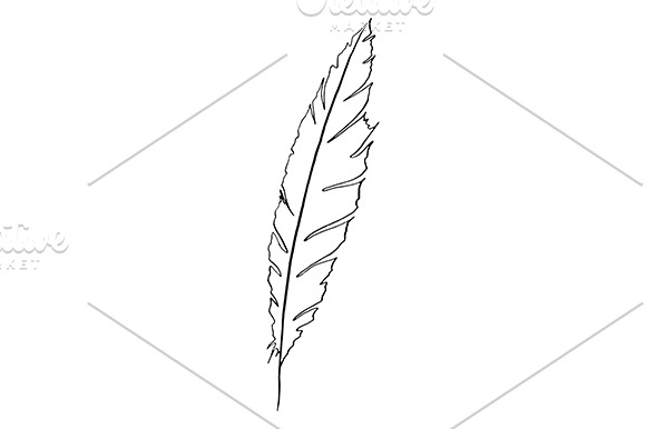 Feather bird line art sketch vector | Creative Daddy