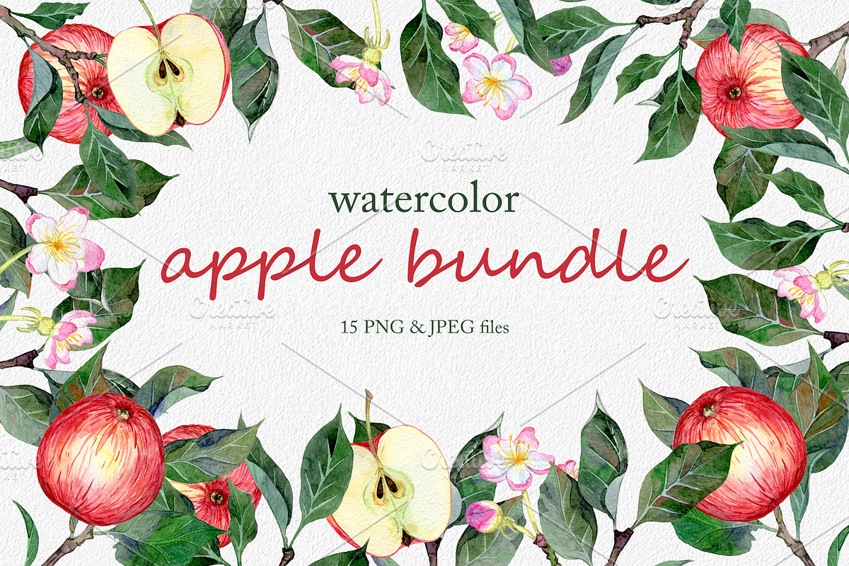 Hand drawn watercolor apple set in Illustrations - product preview 8