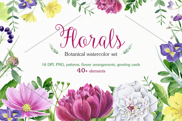 Florals watercolor set in Illustrations - product preview 3
