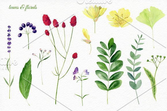 Florals watercolor set in Illustrations - product preview 7