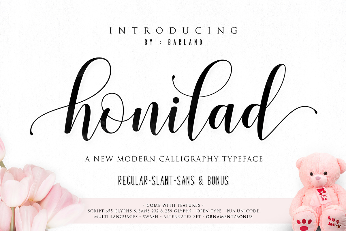 Honilad Script | 5 Font & Bonus in Icon Fonts - product preview 8