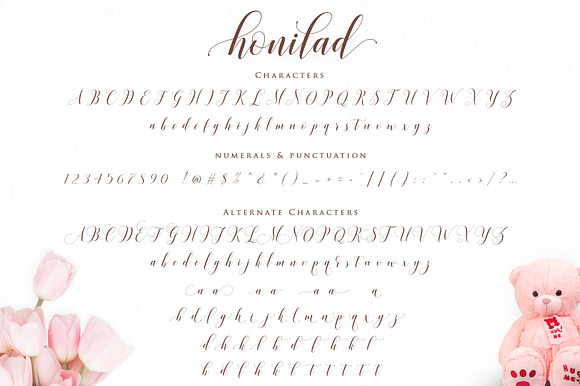 Honilad Script | 5 Font & Bonus in Icon Fonts - product preview 9