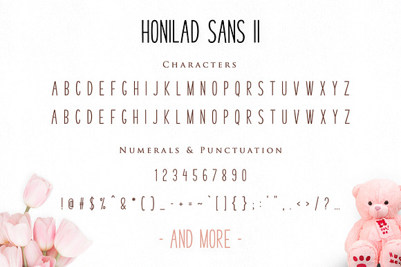Honilad Script | 5 Font & Bonus in Icon Fonts - product preview 10