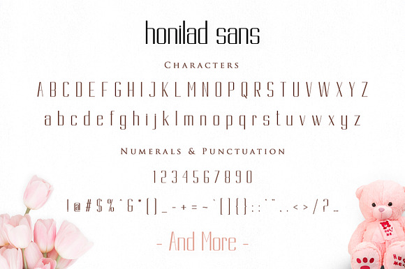 Honilad Script | 5 Font & Bonus in Icon Fonts - product preview 11