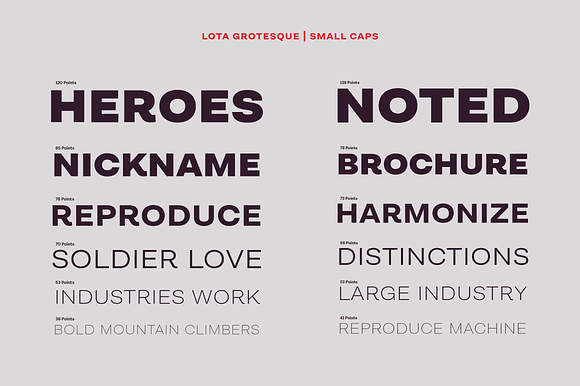 Lota Grotesque - 50% off in Sans-Serif Fonts - product preview 4